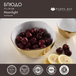 Блюдо 17 х 10 Moonlight MON2599WG